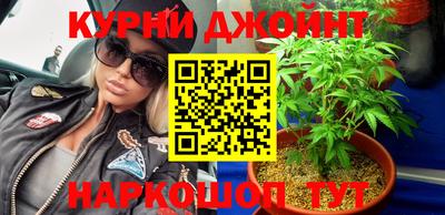 гидропоника Будённовск